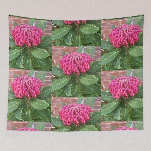 Item preview, Australian Waratah  designed and sold by MaureenBoyle.
