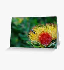 'Beehaviour' Greeting Card