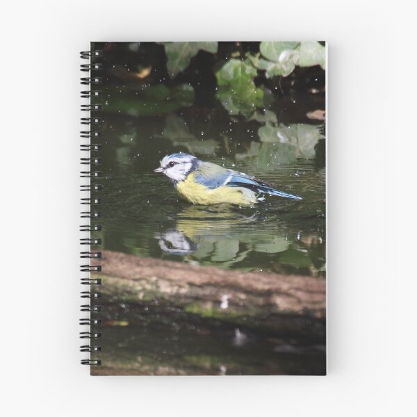 Item preview, Parus caeruleus  designed and sold by Mythos57.