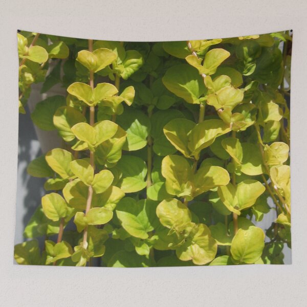Item preview, Trailing Green Leaf designed and sold by mary81.