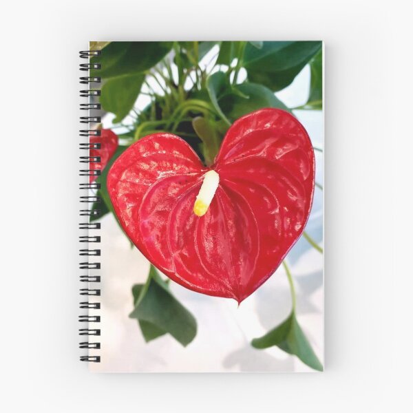 Item preview, Anthurium ❤ designed and sold by DonnaM.