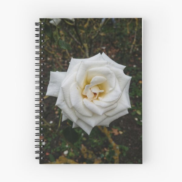 Item preview, White Angular Rose  designed and sold by The Rage Garden.