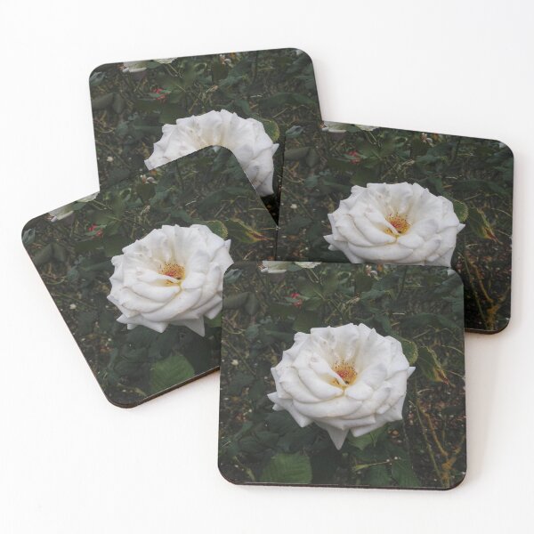 Item preview, White Smooth Rose  designed and sold by The Rage Garden.
