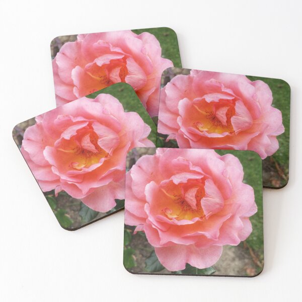 Item preview, Pink Rose  designed and sold by The Rage Garden.