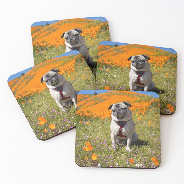 Item preview, Pug Soaks Up California Sun in Poppy Field designed and sold by pugventurephoto.