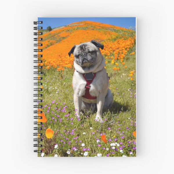 Item preview, Pug Soaks Up California Sun in Poppy Field designed and sold by pugventurephoto.