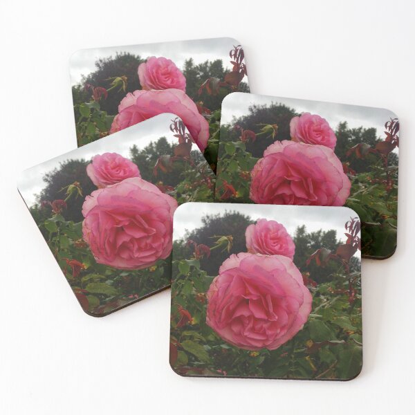 Item preview, Round Pink Rose  designed and sold by The Rage Garden.