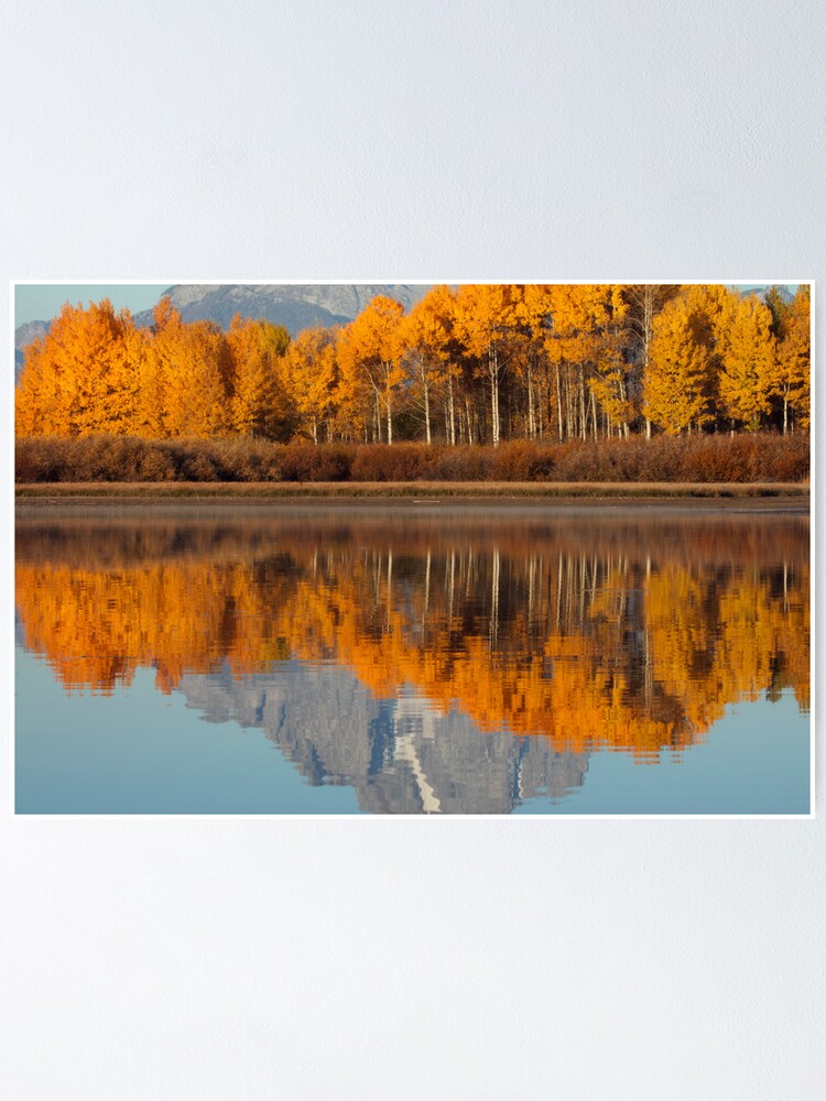 Alternate view of Aspen Grove Aflame At The Oxbow Poster