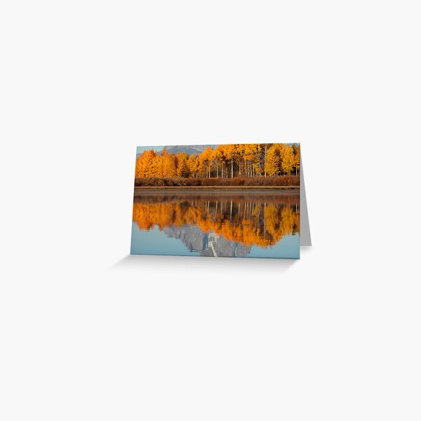 Aspen Grove Aflame At The Oxbow Greeting Card