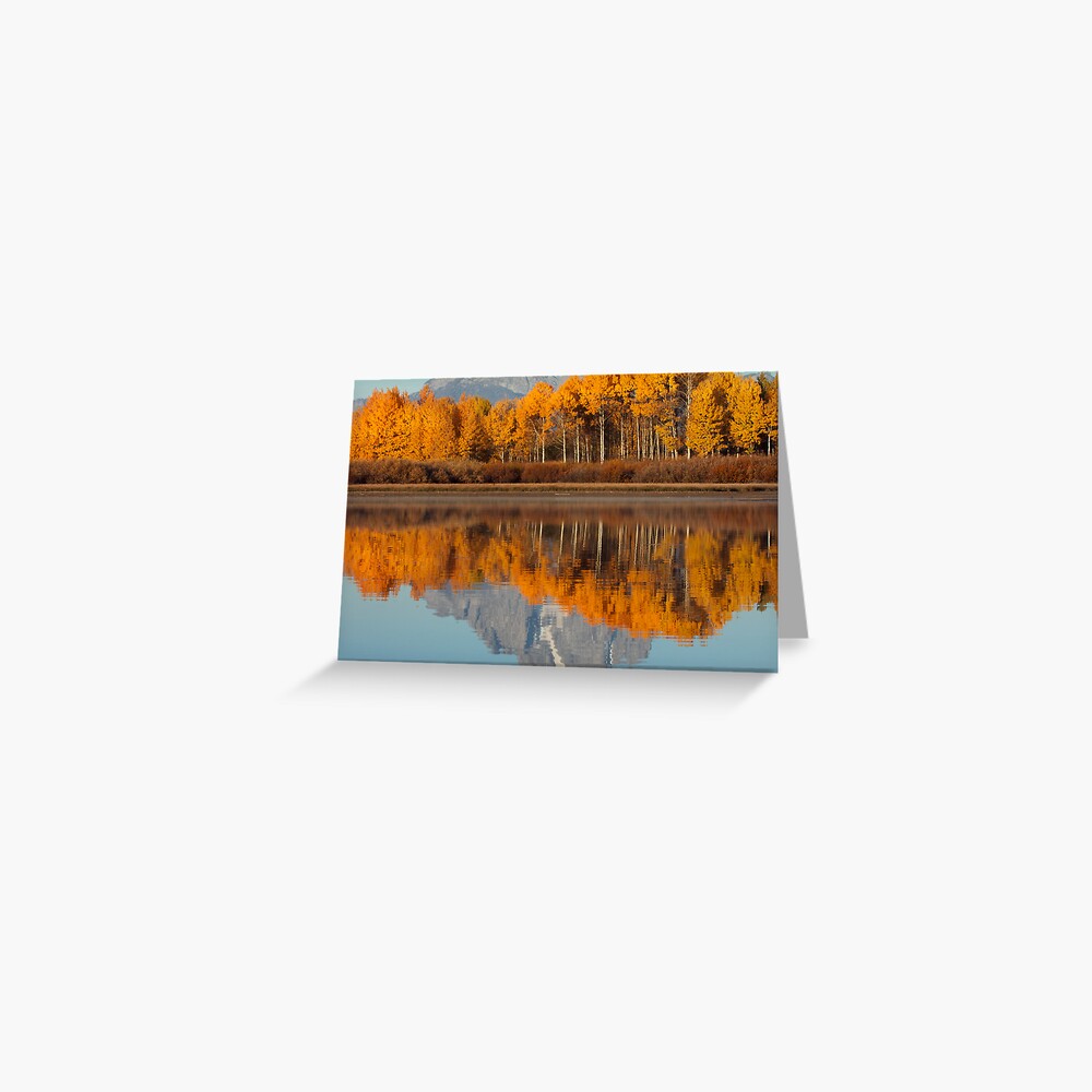Aspen Grove Aflame At The Oxbow Greeting Card