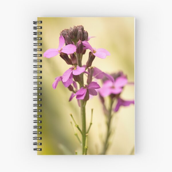 Item preview, Wallflower designed and sold by Caitlyn Grasso.
