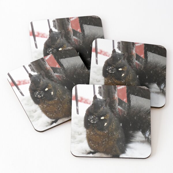 Item preview, Black squirrel begging for food in winter designed and sold by celinebisson.