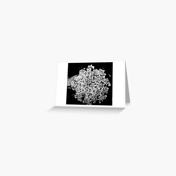 Queen Ann Greeting Card