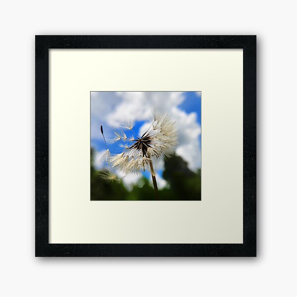Wish Upon a Blue Sky Framed Art Print