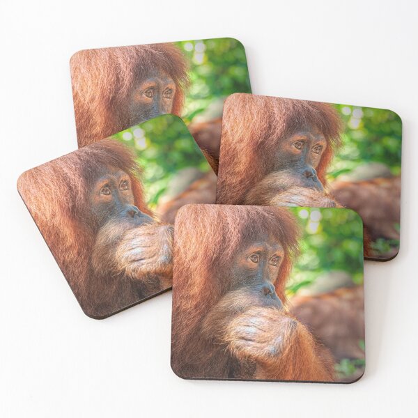 Item preview, Pensive Orangutan designed and sold by photograham.