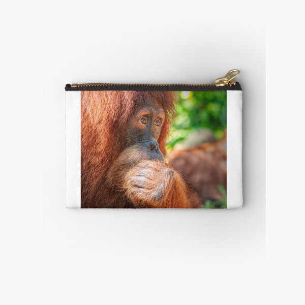 Item preview, Pensive Orangutan designed and sold by photograham.