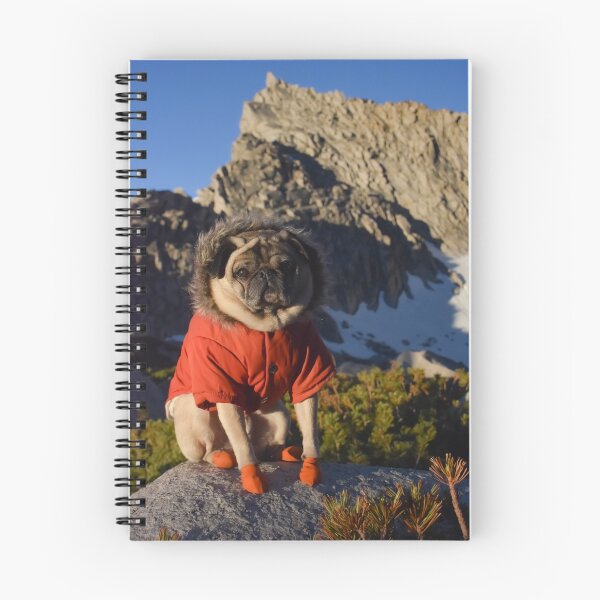 Item preview, Sage Pug Advice: Save Calories, Dress Warms designed and sold by pugventurephoto.