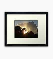 Nature Framed Print