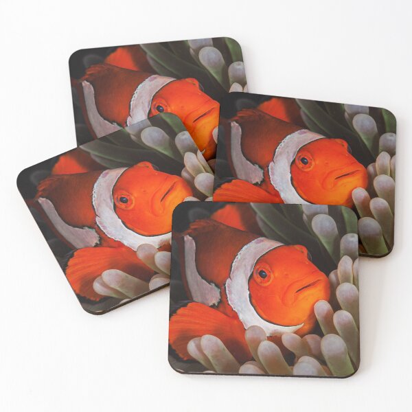 Item preview, Anemonefish Peering Out at Me designed and sold by KarenWillshaw.