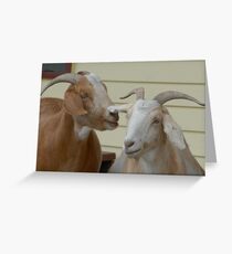 Have you heard the latest...? Greeting Card