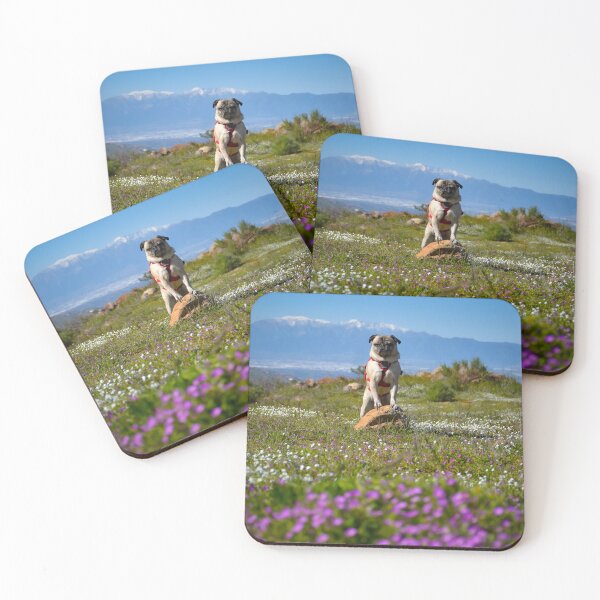 Item preview, Pug Seeks Prominence in Search for Flower View designed and sold by pugventurephoto.