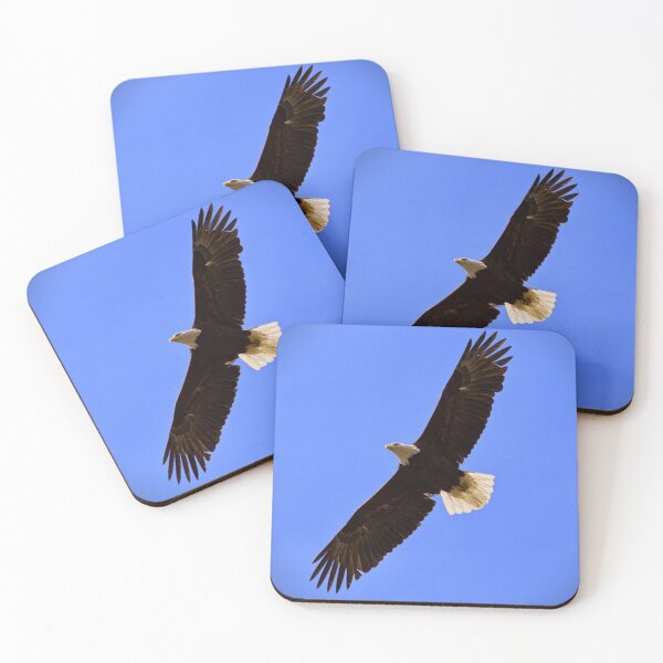 Item preview, Bald Eagle designed and sold by dcwphotos.