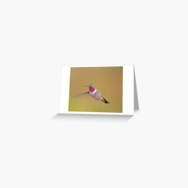 Ruby Throated Hummingbird Greeting Card