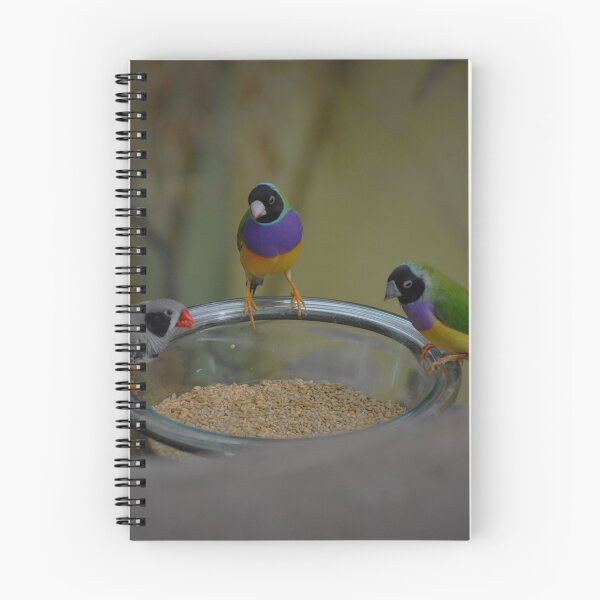 Item preview, Trio........ designed and sold by cieloverde.