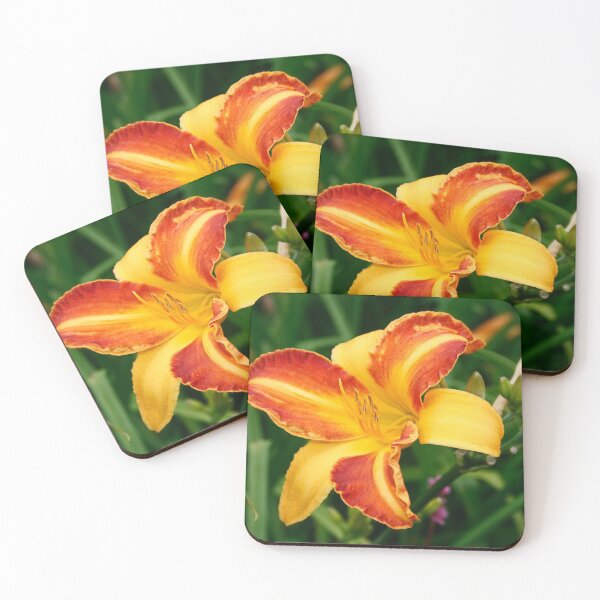 Item preview, Bi-Colour Day Lily designed and sold by AnnDixon.