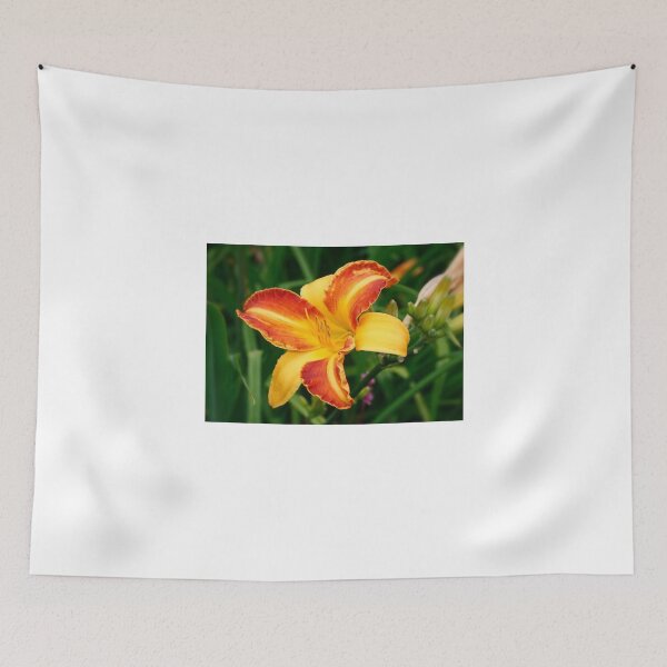 Item preview, Bi-Colour Day Lily designed and sold by AnnDixon.
