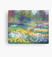 in spring Canvas Print