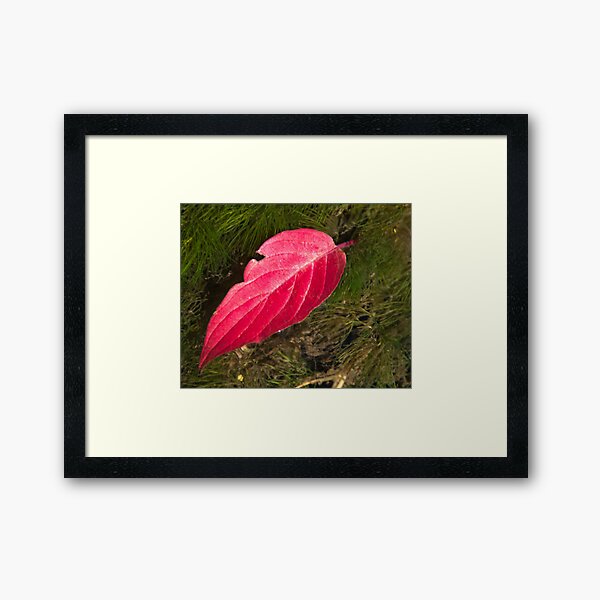 Item preview, Ruby Red Leaf and Mossy Green Moss designed and sold by Mitchell Tillison.