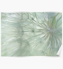 Wispy #4 Poster