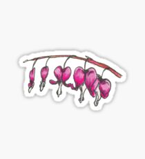 Bleeding Heart Sticker