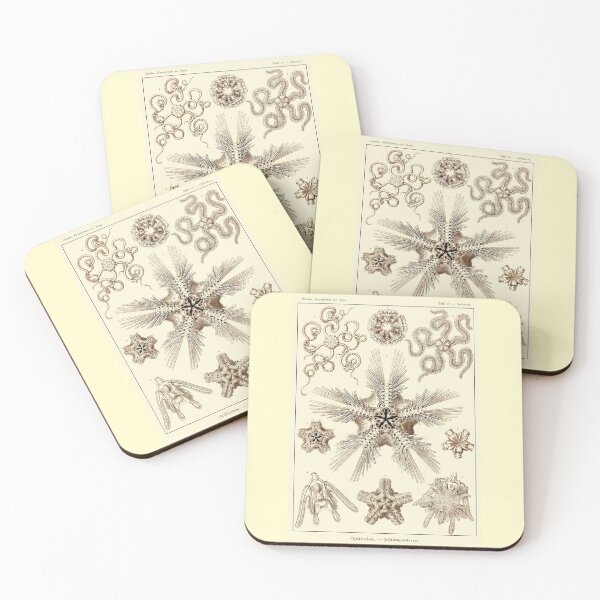 Item preview, Plate 10. Brittle-stars shown in various stages of development. designed and sold by Squirrox.