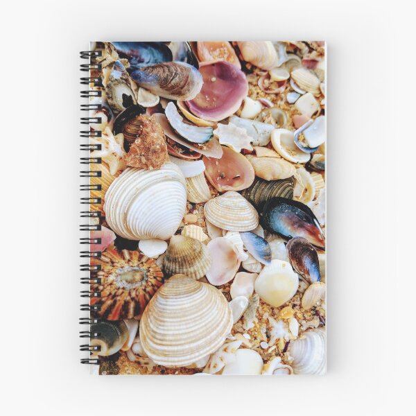 Item preview, Shells, SHELLS, SHELLLLSSSS!!!!! designed and sold by Kerryn Wood.