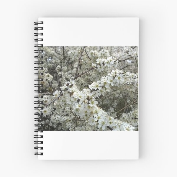 Item preview, Spring has Sprung! designed and sold by JPOempathy.
