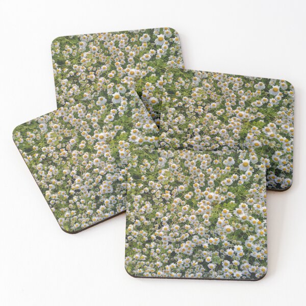 Item preview, Daisies designed and sold by LittleBettyMakes.