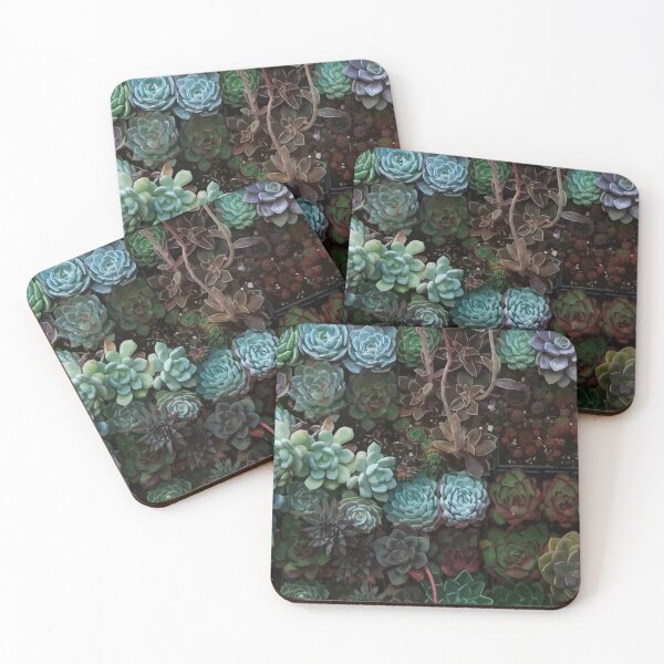 Item preview, Succulent Scene designed and sold by HerpSVG.