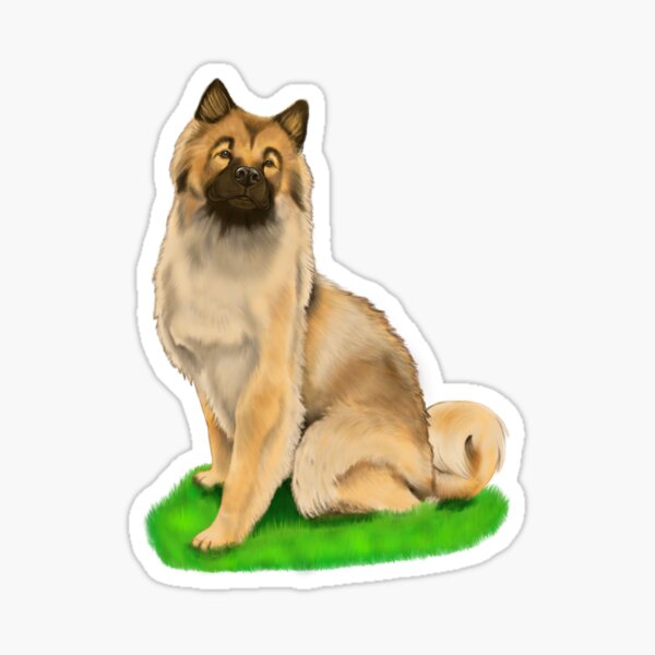 Eurasier Sticker