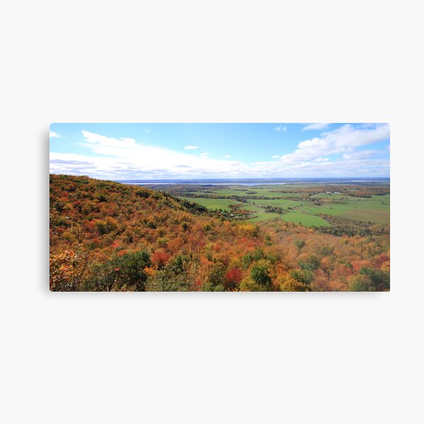 Lookout for Autumn Metal Print