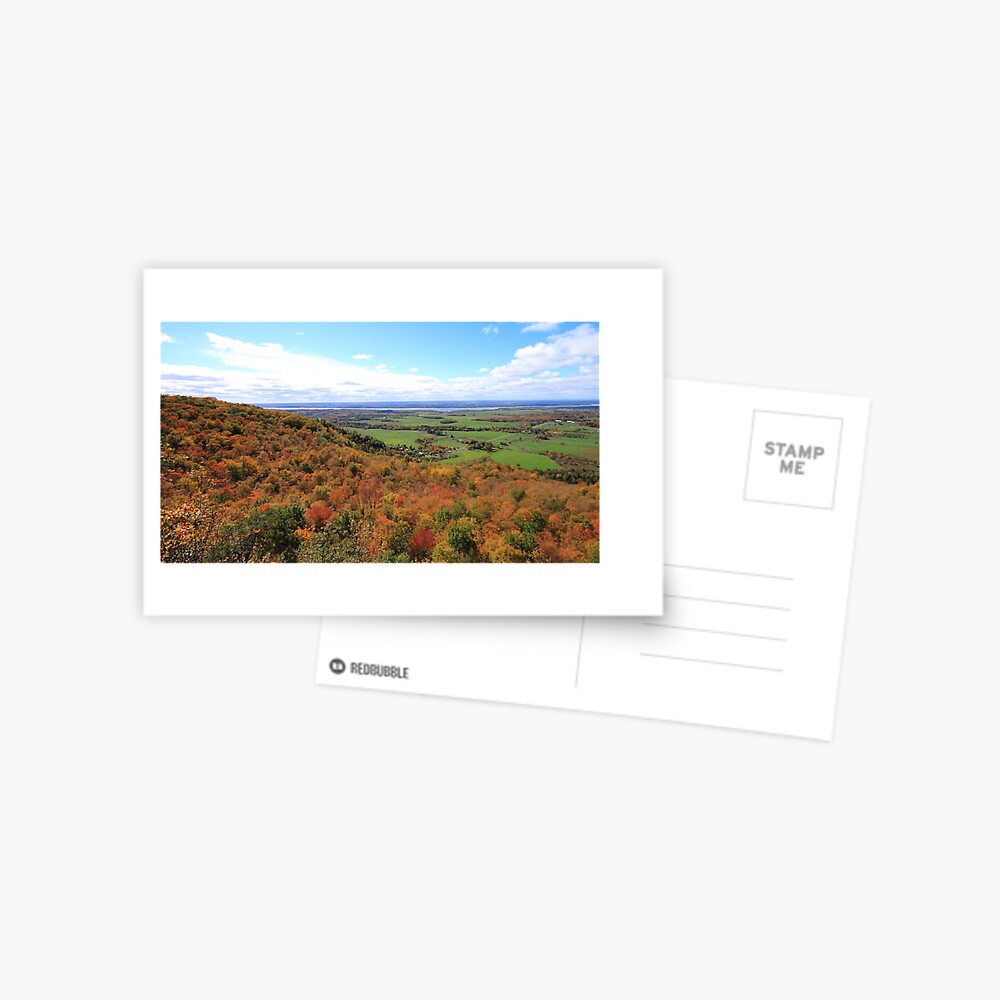 Item preview, Postcard designed and sold by spaterson.