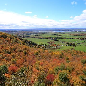 Artwork thumbnail, Lookout for Autumn by Scott Paterson