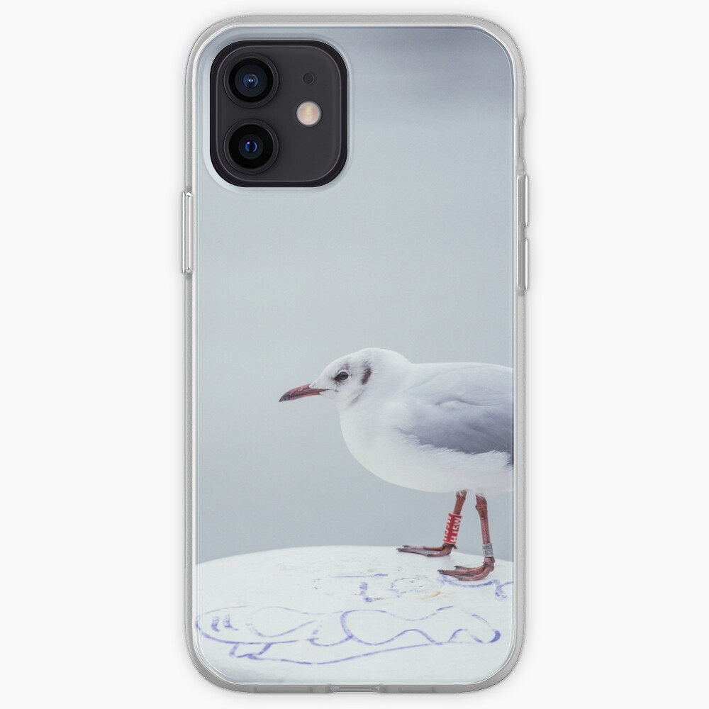 Seagull on bollard iPhone Case & Cover