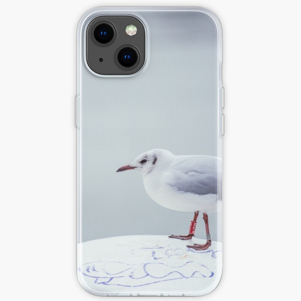 Seagull on bollard iPhone Case