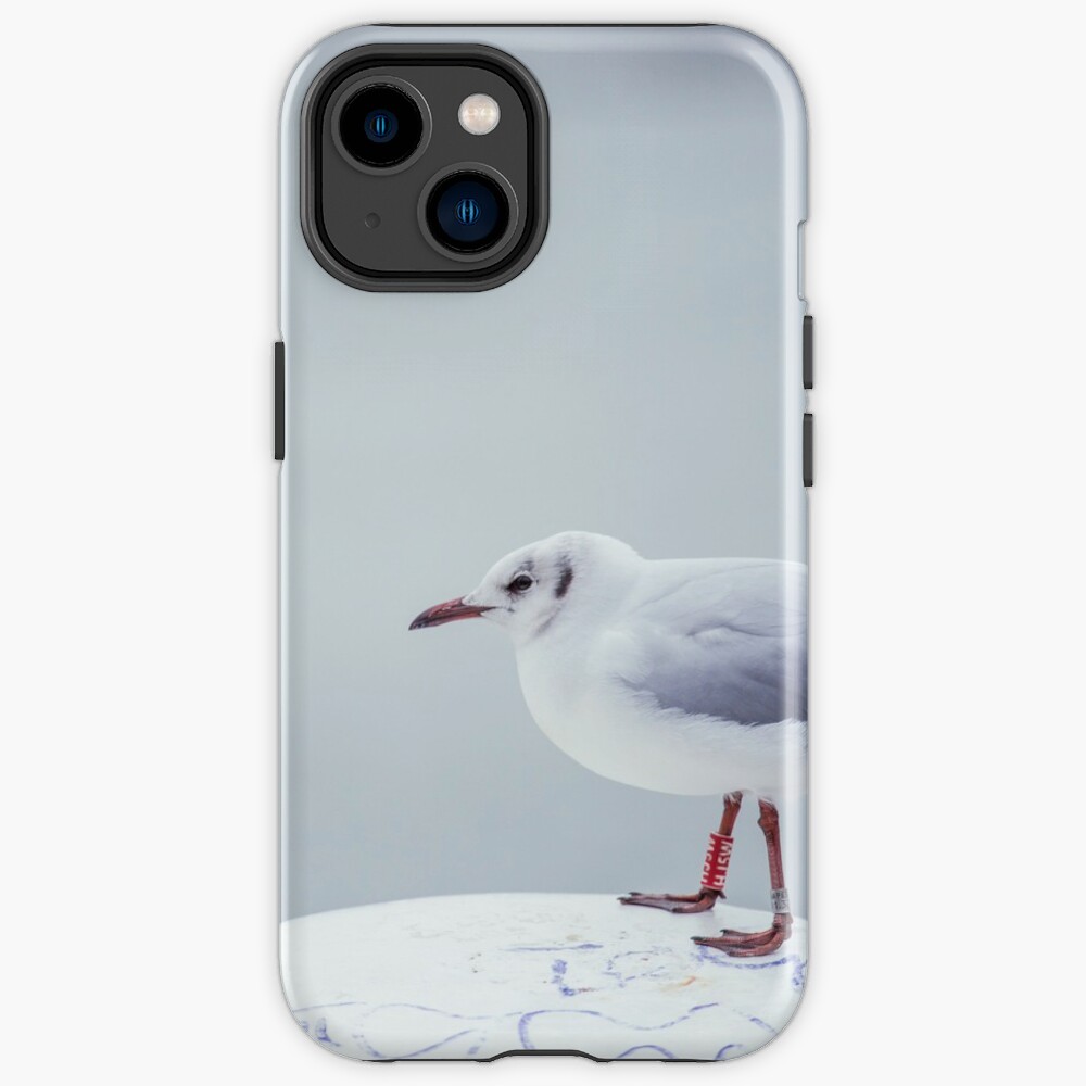 Seagull on bollard iPhone Case