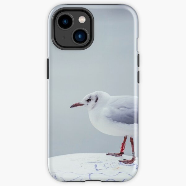 Seagull on bollard iPhone Tough Case