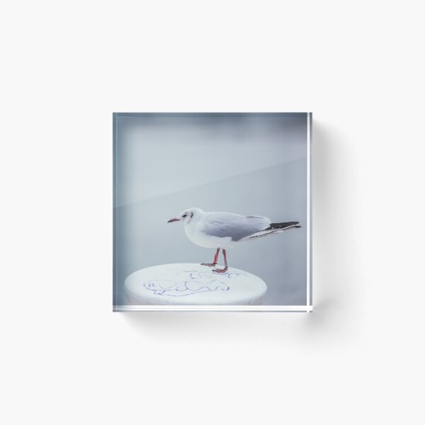 Item preview, Seagull on bollard designed and sold by Marlene Wagenhofer.