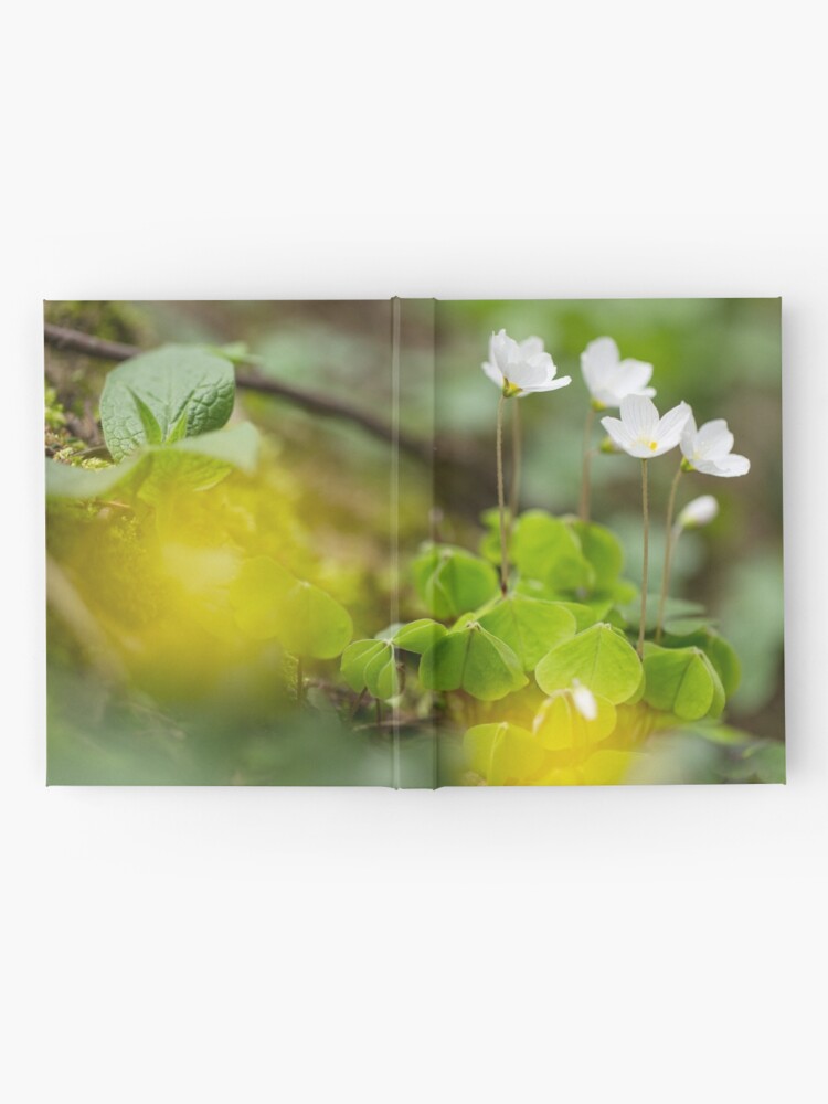 Alternate view of white clover in the forest Hardcover Journal