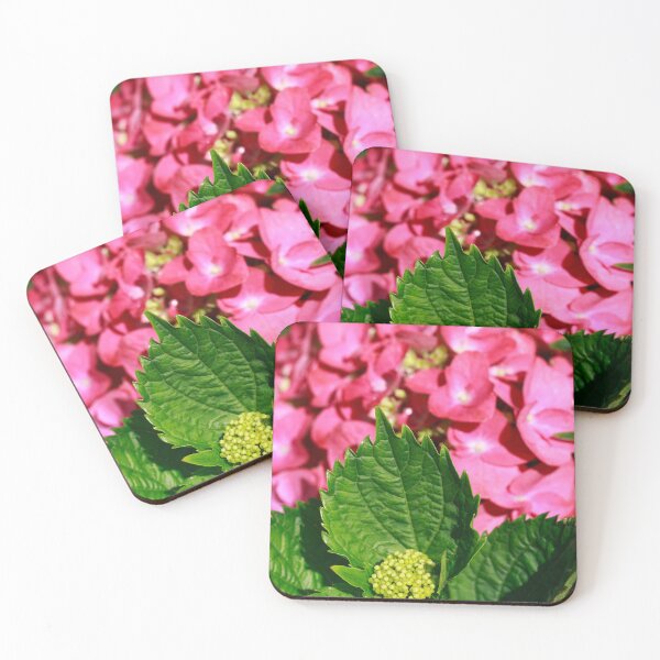 Item preview, Pink hydrangea designed and sold by Gaspar Avila.